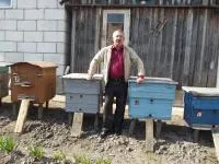 Пчелиные семьи, ульи