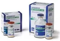 Хипрабовис IBR Marker Live